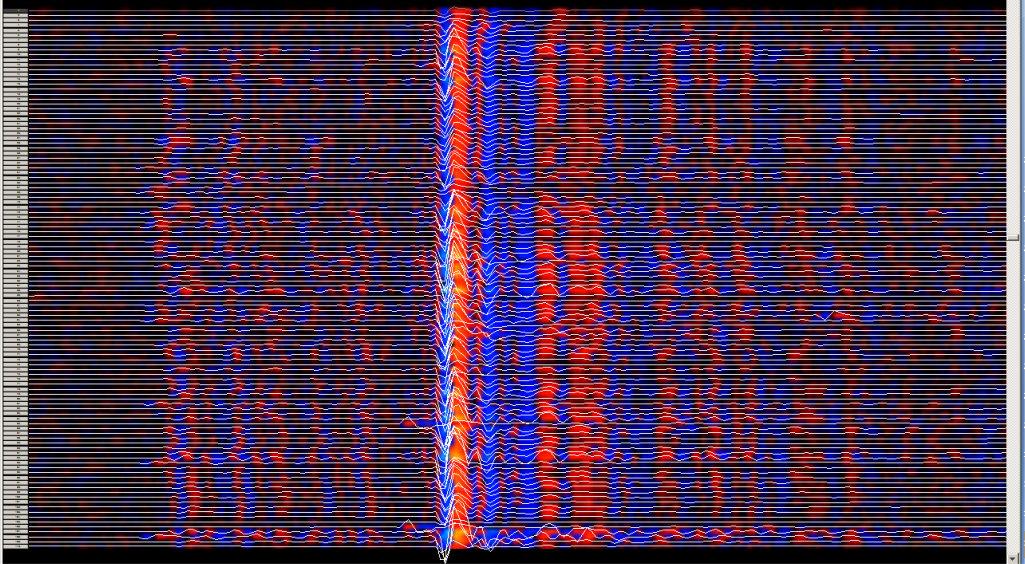Common Receiver Gather